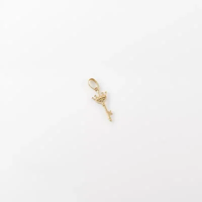 پلاک طلا کليد تاج